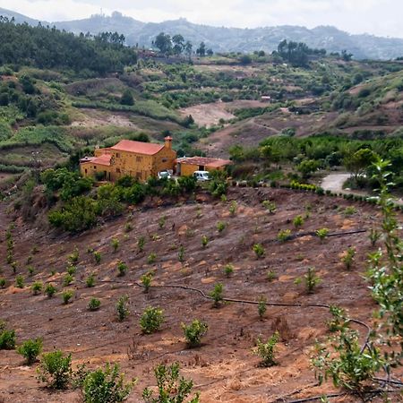 Las Casas De Lola Y Rafael Moya  Eksteriør billede